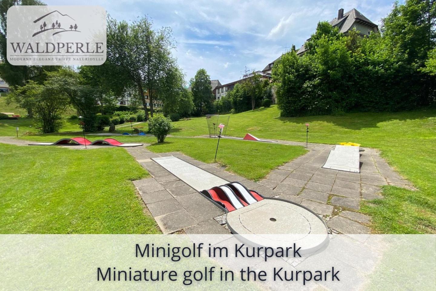 Exklusives 5-Sterne Apartment Waldperle Mit Indoor-Pool, Sauna, Top Lage Und Ausblick In Die Natur, Hunde Willkommen Schonach im Schwarzwald Exterior foto