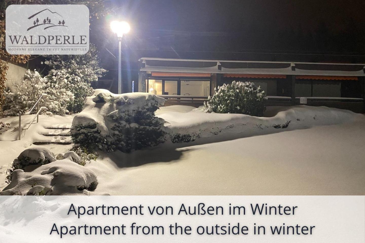 Exklusives 5-Sterne Apartment Waldperle Mit Indoor-Pool, Sauna, Top Lage Und Ausblick In Die Natur, Hunde Willkommen Schonach im Schwarzwald Exterior foto
