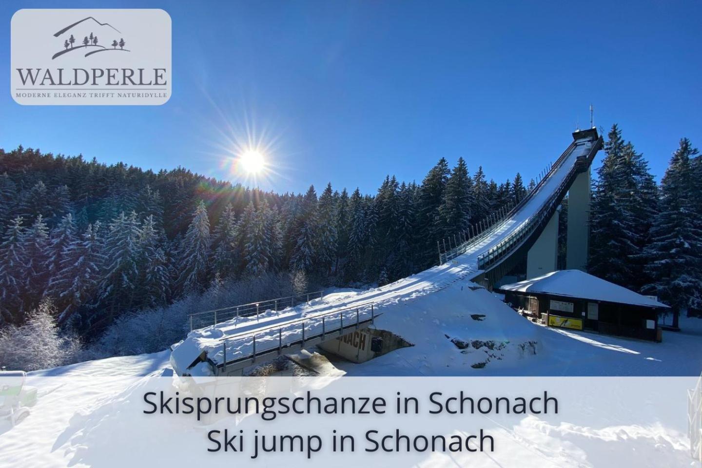 Exklusives 5-Sterne Apartment Waldperle Mit Indoor-Pool, Sauna, Top Lage Und Ausblick In Die Natur, Hunde Willkommen Schonach im Schwarzwald Exterior foto