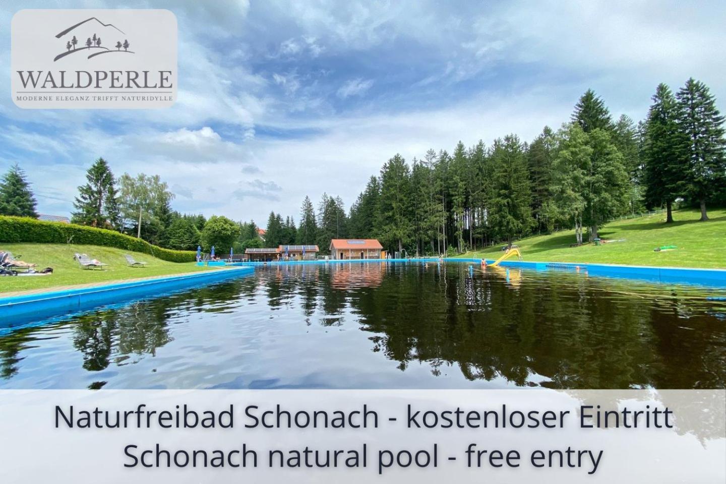 Exklusives 5-Sterne Apartment Waldperle Mit Indoor-Pool, Sauna, Top Lage Und Ausblick In Die Natur, Hunde Willkommen Schonach im Schwarzwald Exterior foto
