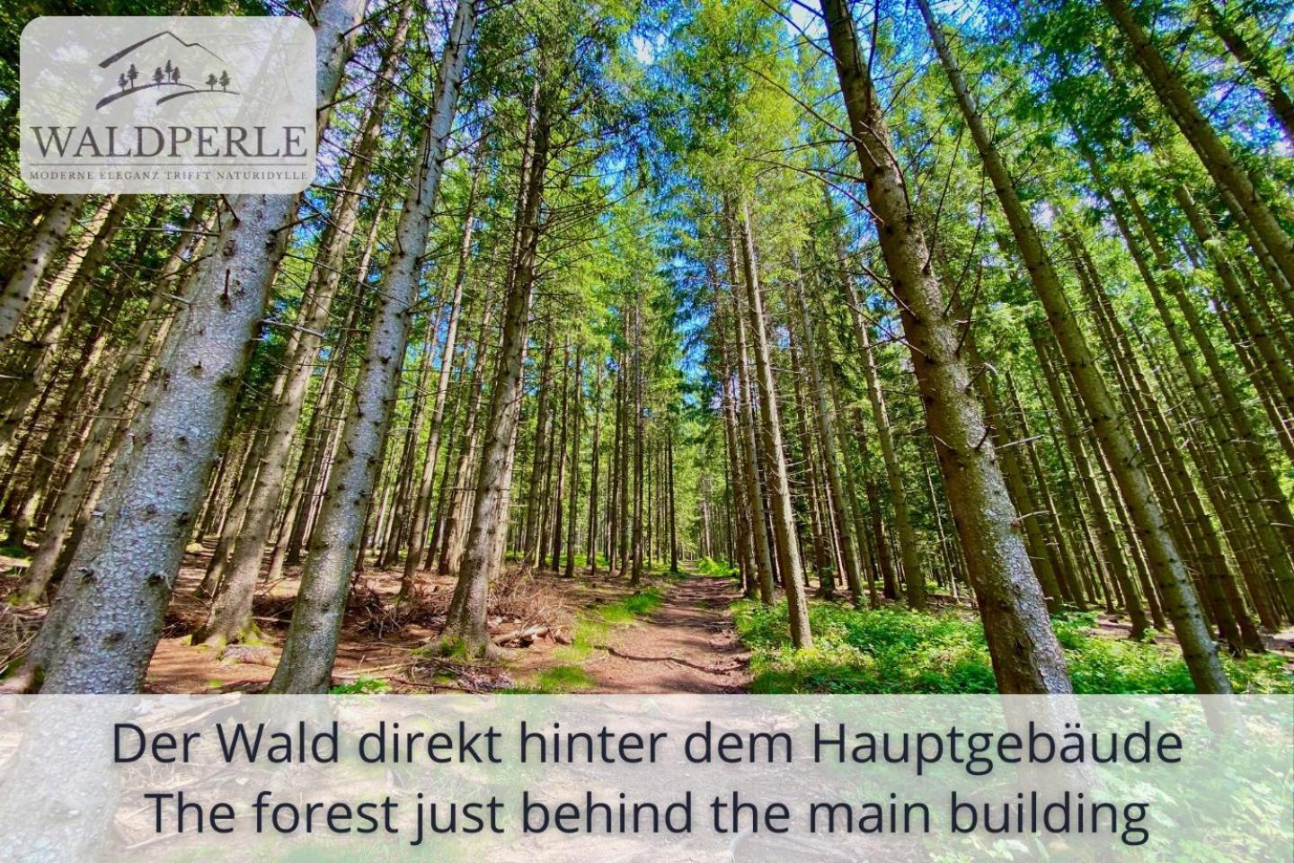 Exklusives 5-Sterne Apartment Waldperle Mit Indoor-Pool, Sauna, Top Lage Und Ausblick In Die Natur, Hunde Willkommen Schonach im Schwarzwald Exterior foto