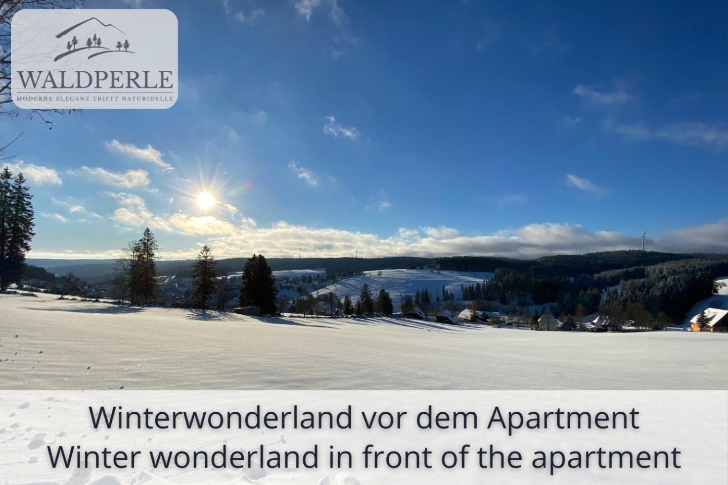 Exklusives 5-Sterne Apartment Waldperle Mit Indoor-Pool, Sauna, Top Lage Und Ausblick In Die Natur, Hunde Willkommen Schonach im Schwarzwald Exterior foto