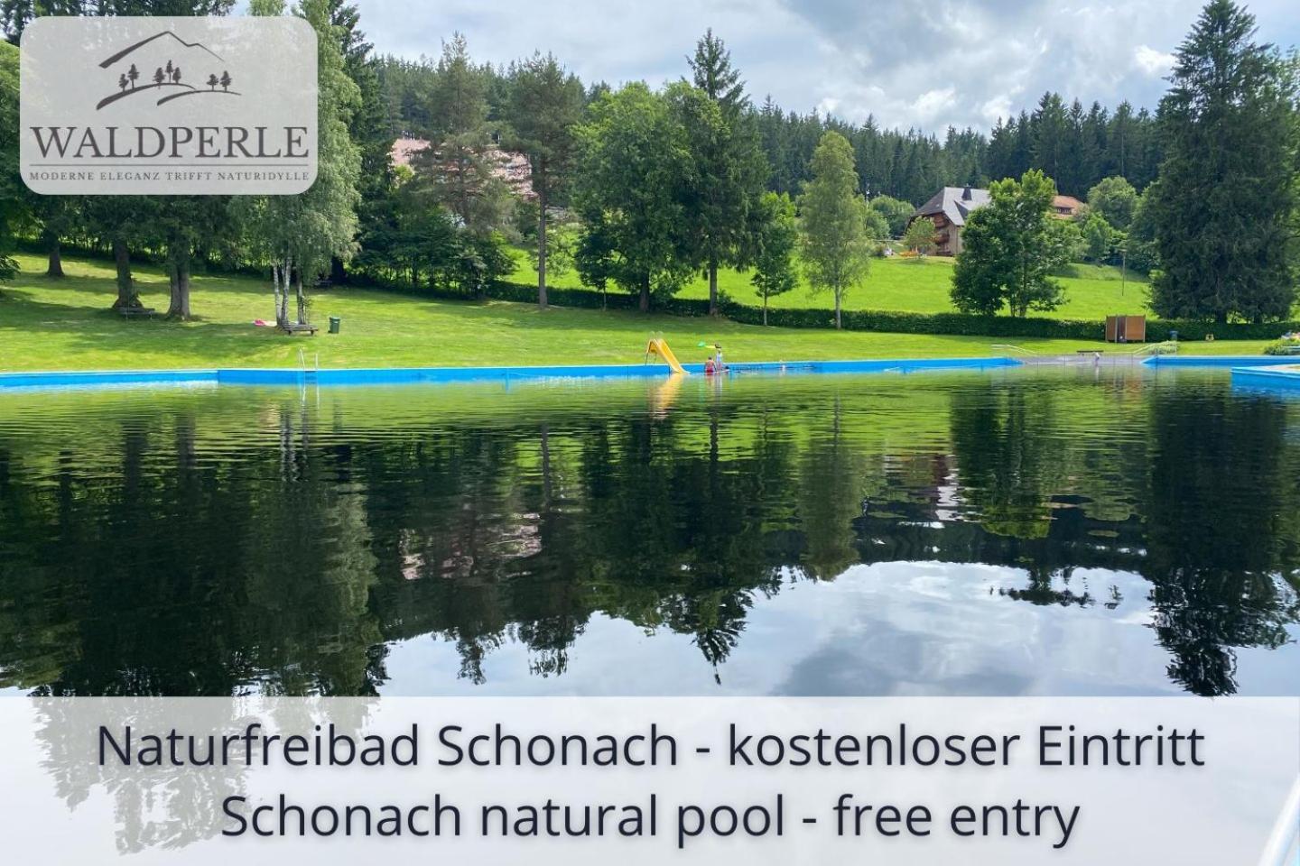 Exklusives 5-Sterne Apartment Waldperle Mit Indoor-Pool, Sauna, Top Lage Und Ausblick In Die Natur, Hunde Willkommen Schonach im Schwarzwald Exterior foto