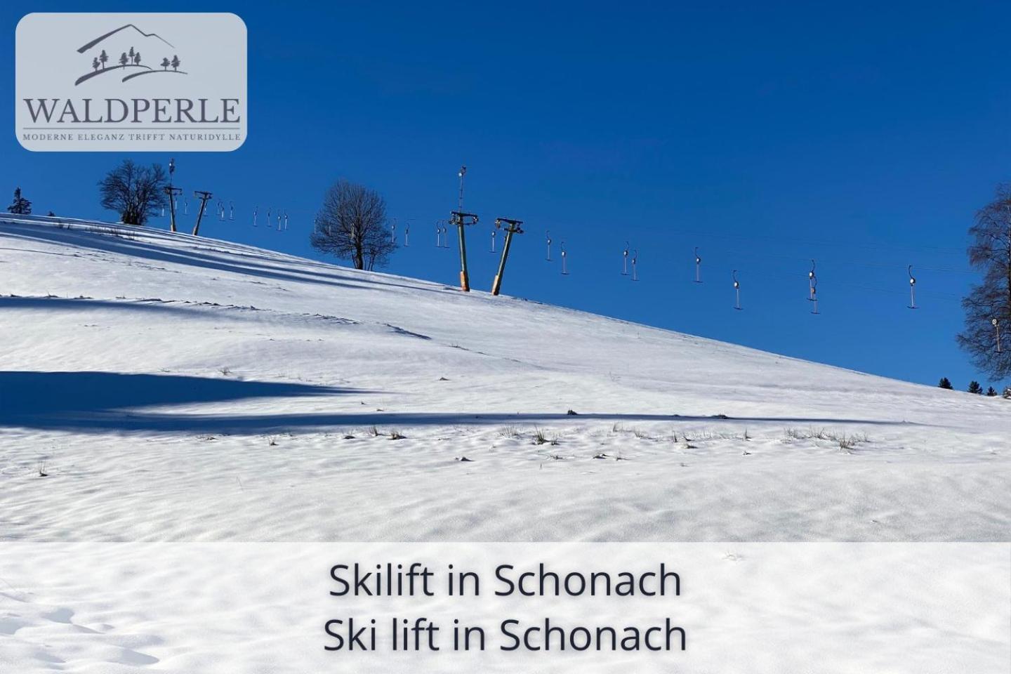 Exklusives 5-Sterne Apartment Waldperle Mit Indoor-Pool, Sauna, Top Lage Und Ausblick In Die Natur, Hunde Willkommen Schonach im Schwarzwald Exterior foto