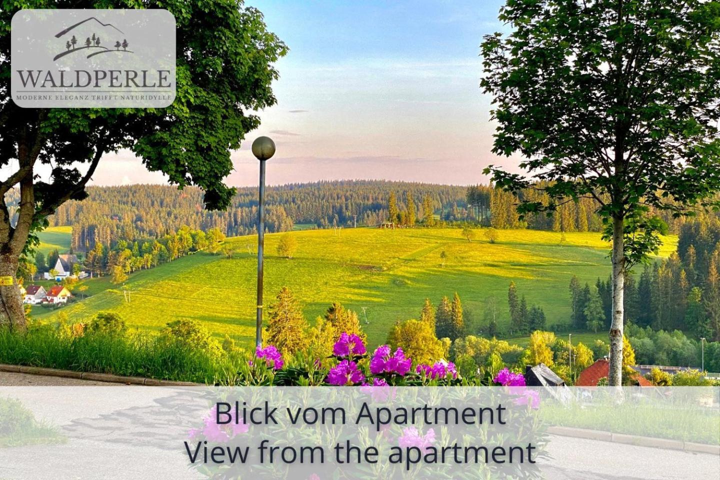 Exklusives 5-Sterne Apartment Waldperle Mit Indoor-Pool, Sauna, Top Lage Und Ausblick In Die Natur, Hunde Willkommen Schonach im Schwarzwald Exterior foto