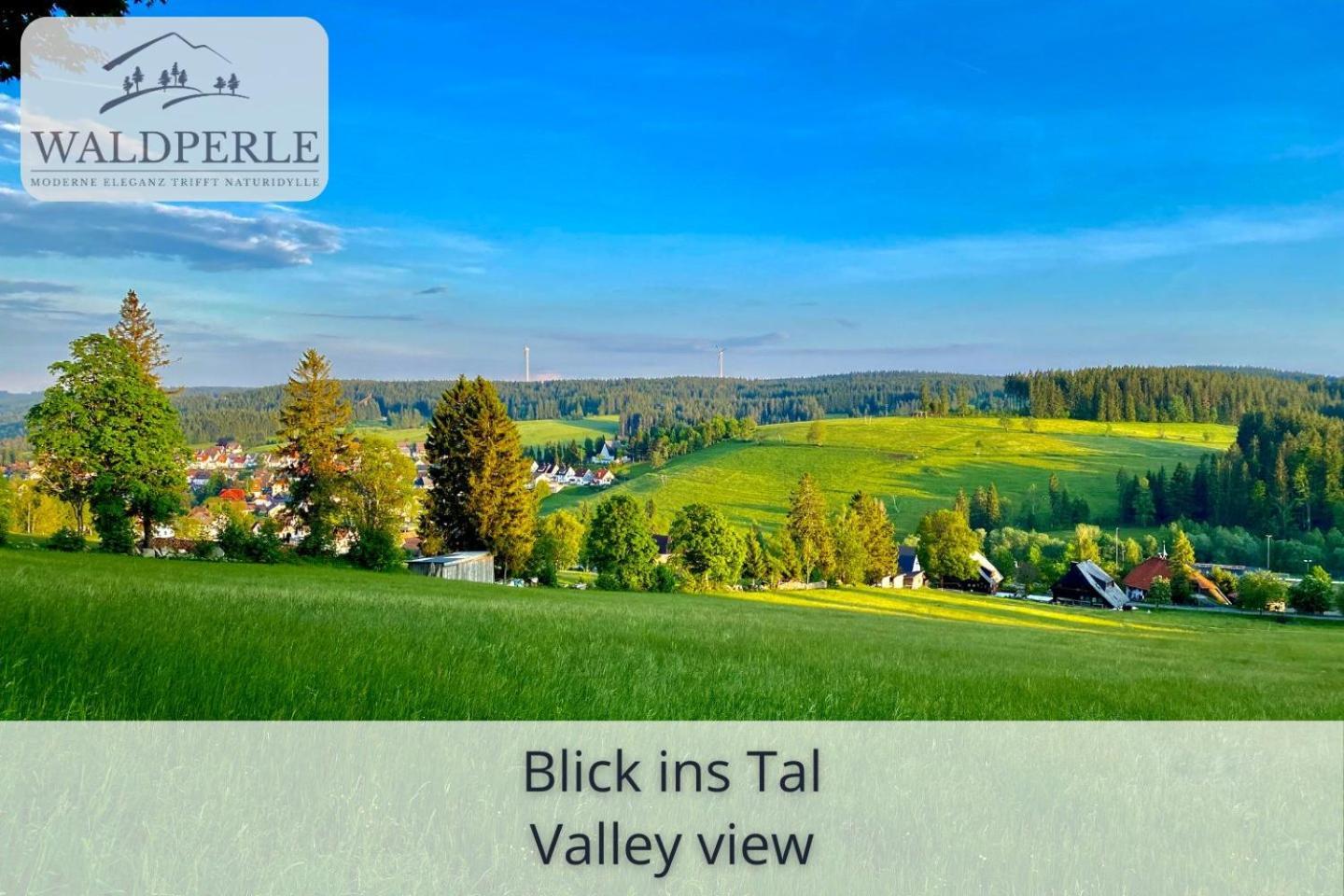Exklusives 5-Sterne Apartment Waldperle Mit Indoor-Pool, Sauna, Top Lage Und Ausblick In Die Natur, Hunde Willkommen Schonach im Schwarzwald Exterior foto